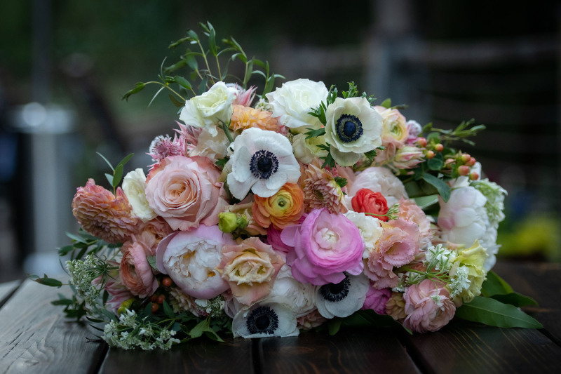 GreenbergBonello-2103